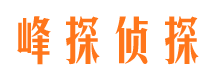 昔阳市调查公司